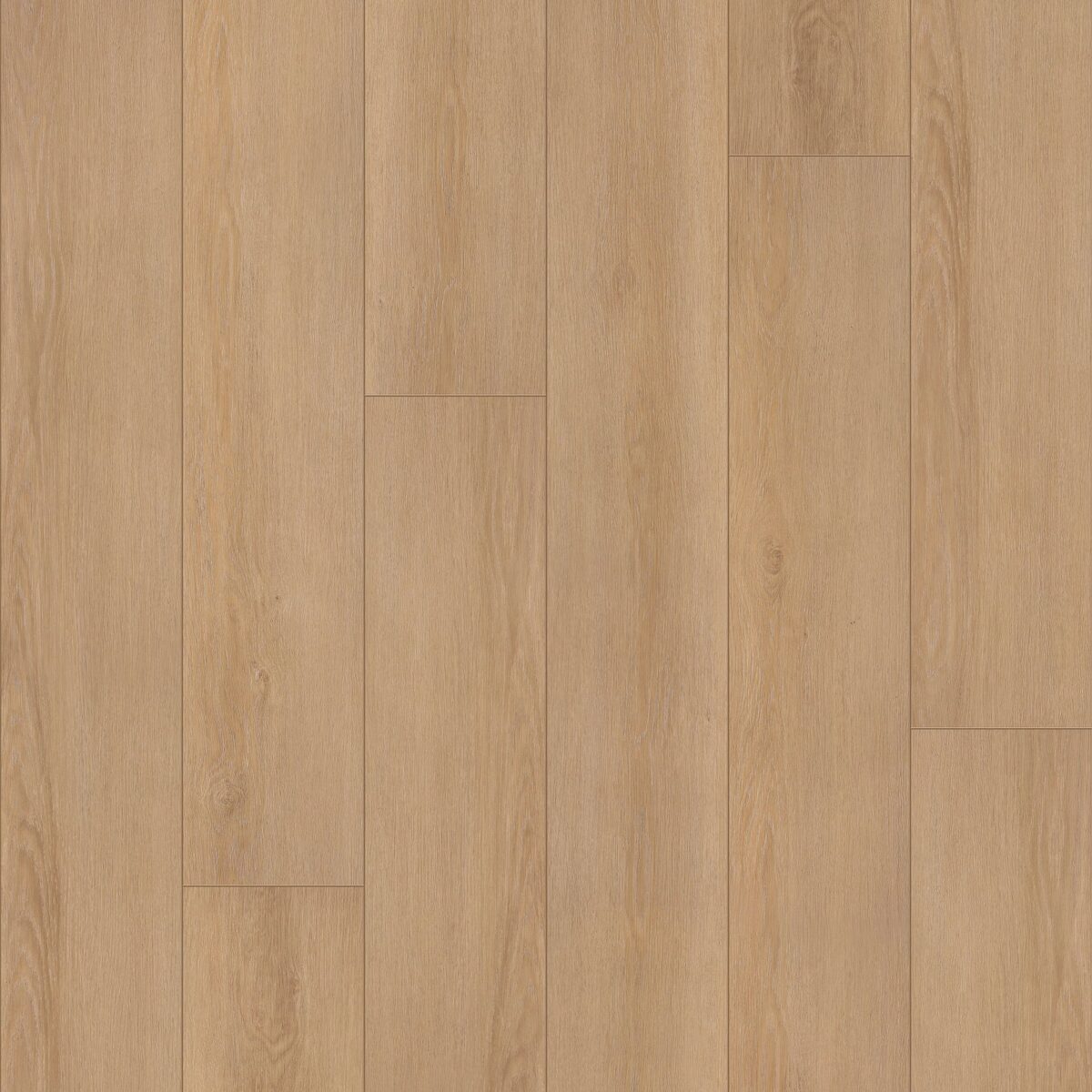 Honey Bronze Oak