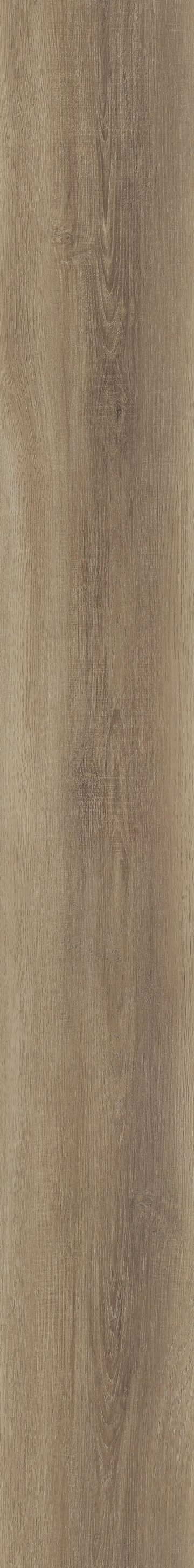 Umber Pecan