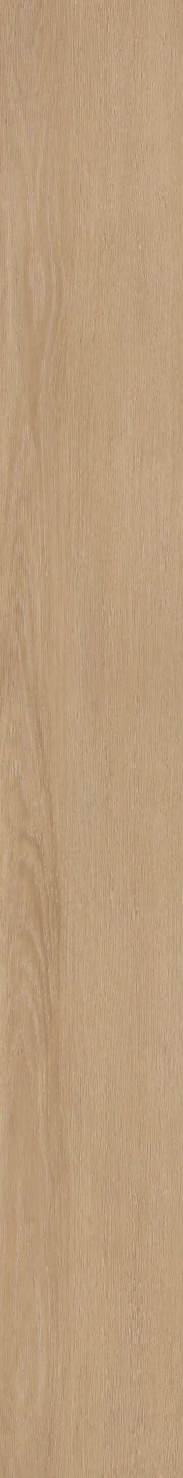 Golden Veil Oak