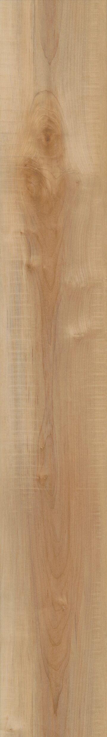 Manila Oak