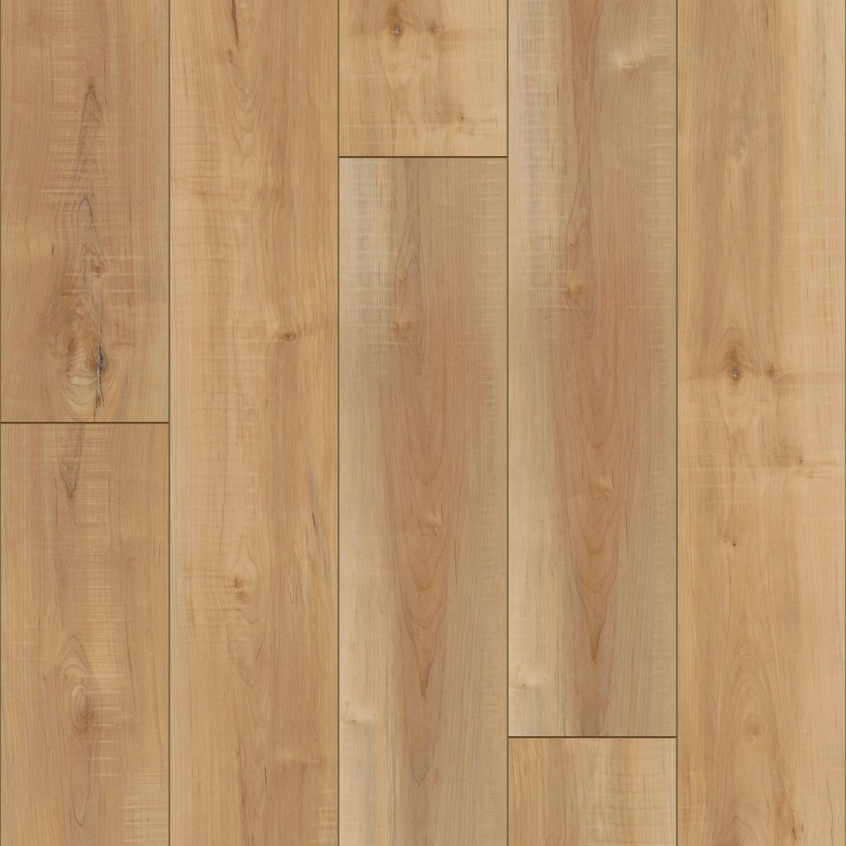 Manila Oak