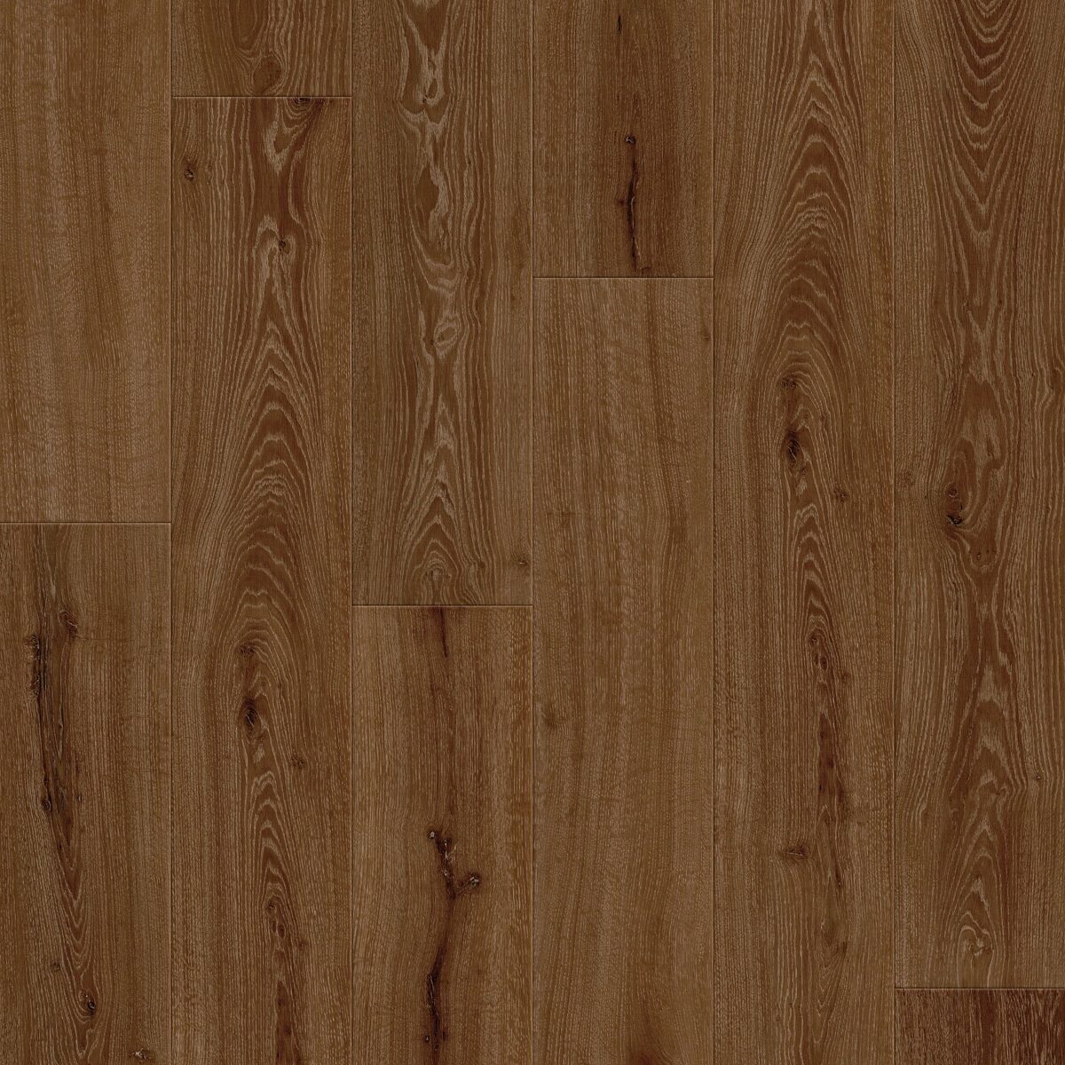 Crimson Flame Oak