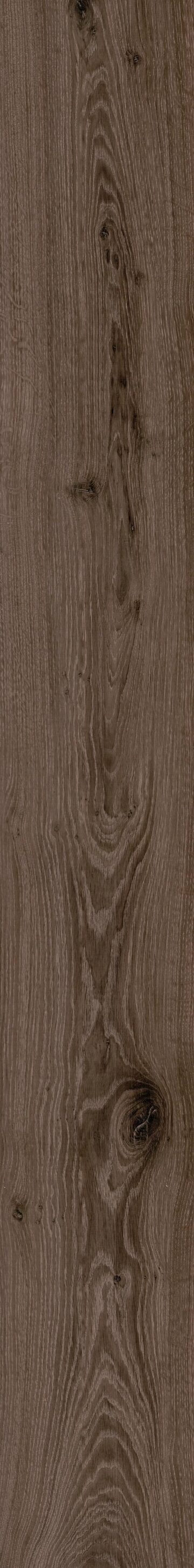 Obsidian Oak