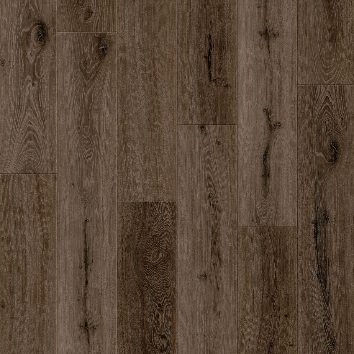 Obsidian Oak