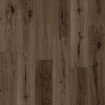 Obsidian Oak
