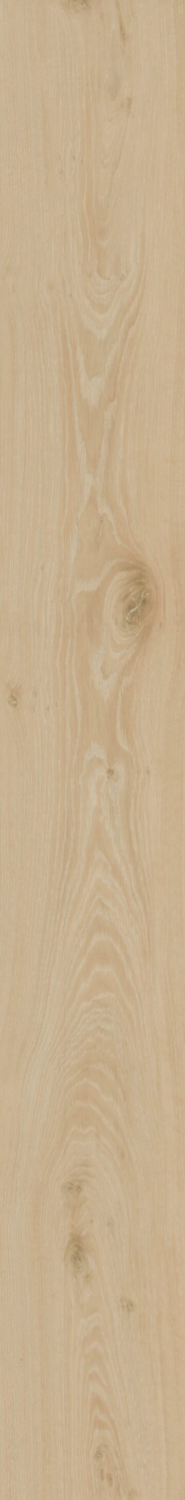 Butterscotch Oak