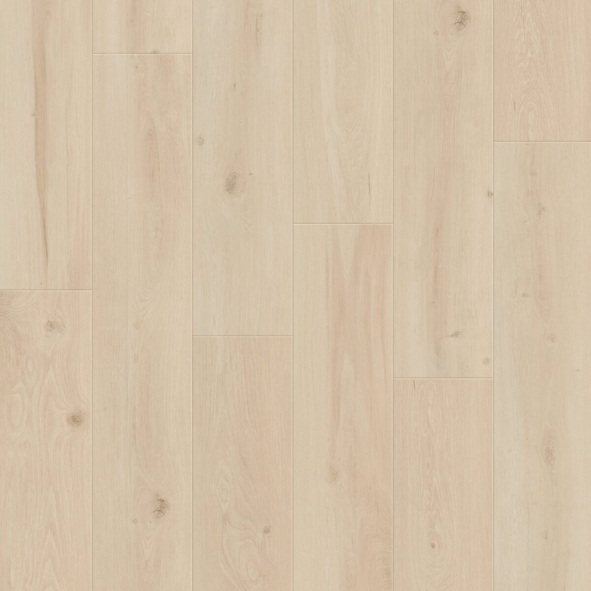 Silken Timber Oak
