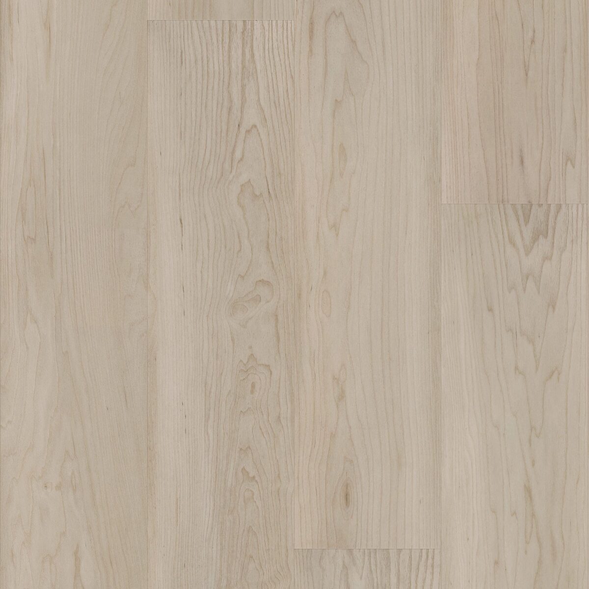 Sandstone Maple