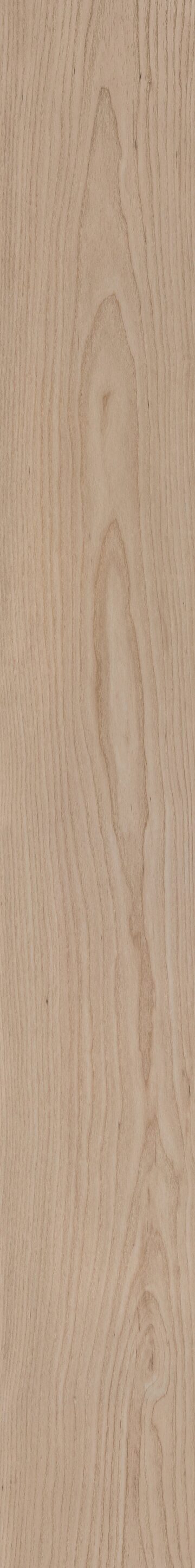 Vanilla Grove Maple