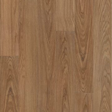 Canyon Oak