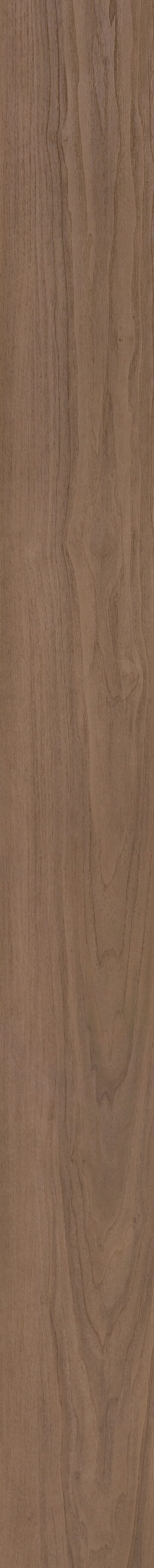 Whiskey Oak