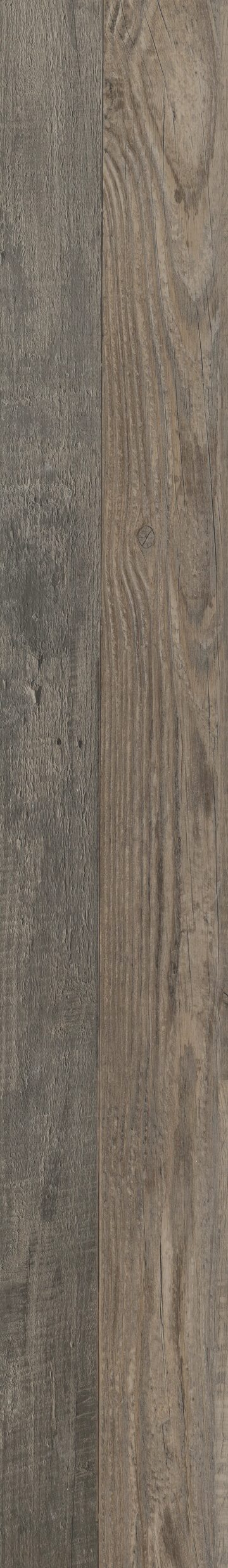 Aden Oak