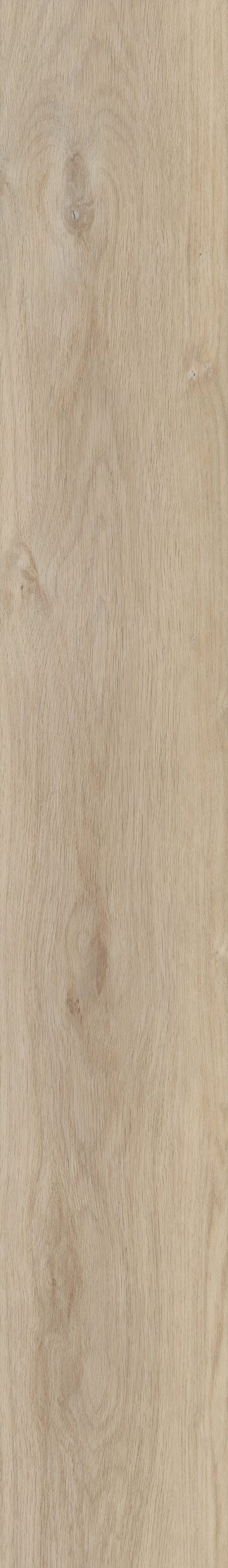 Aurora Oak