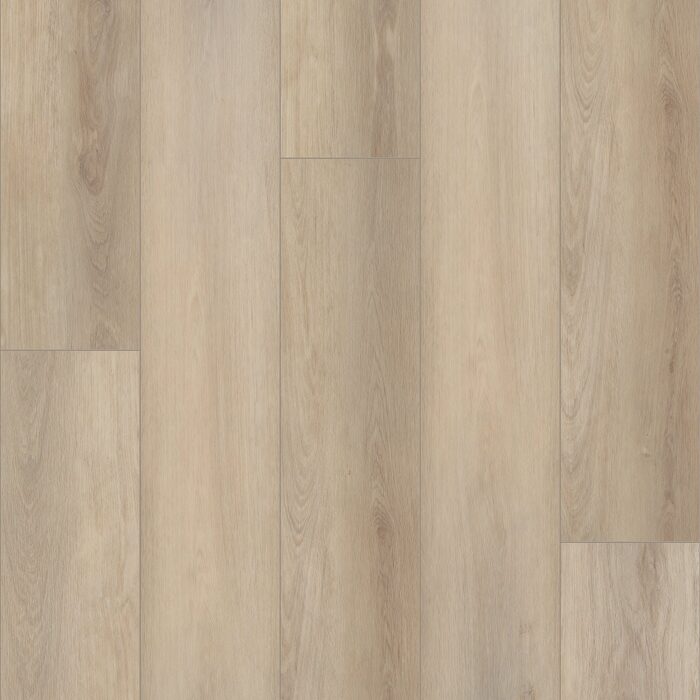 Aurora Oak
