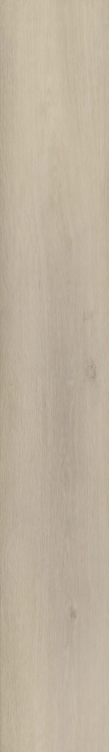 Pasadena Oak