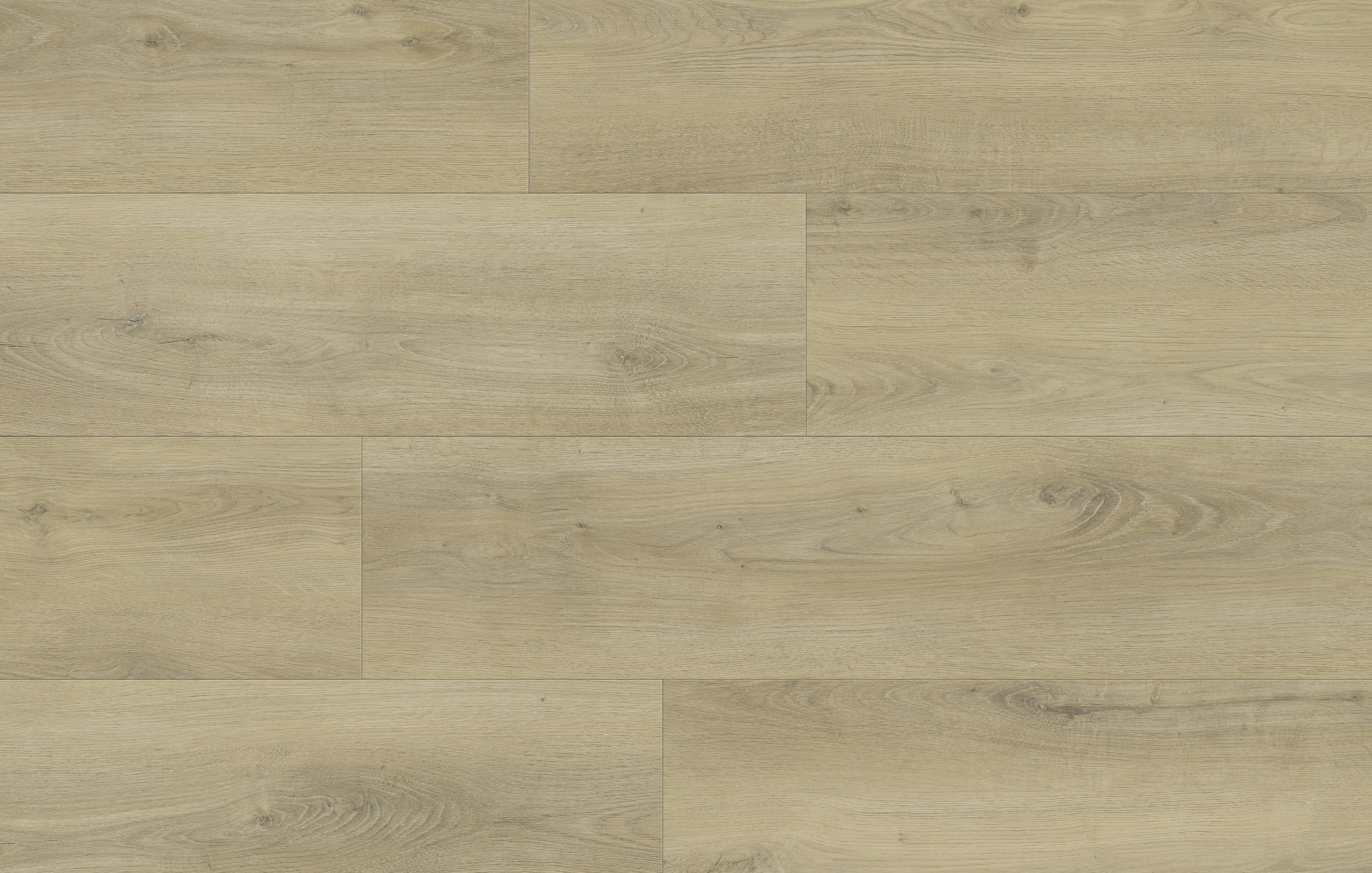 Fuzion Timberline - Fierce Spruce