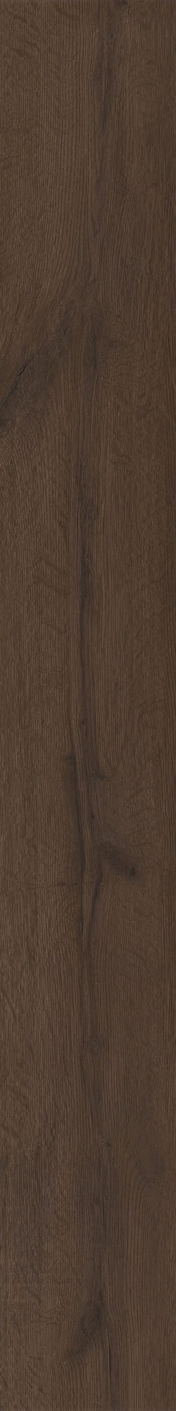 Midnight Oak