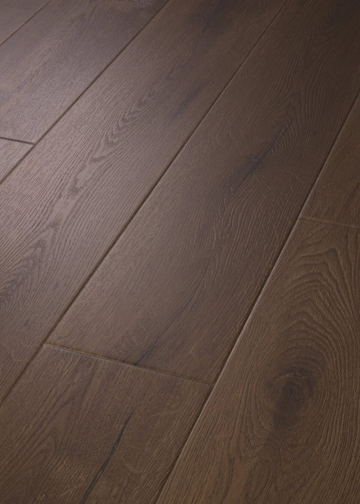 Midnight Oak