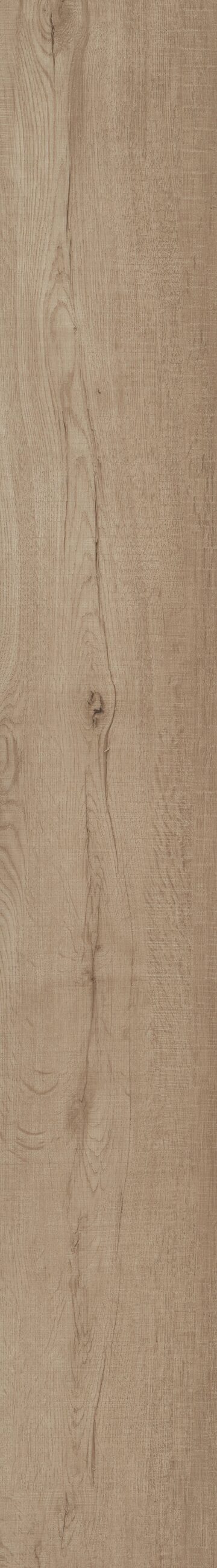 Jerome Oak
