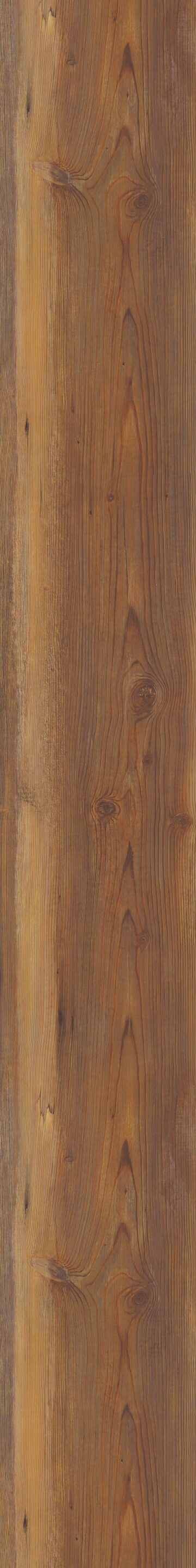 Appalachian Pine