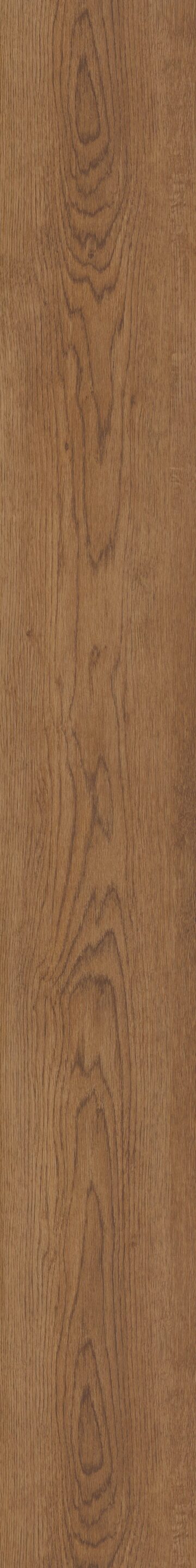 Venado Oak
