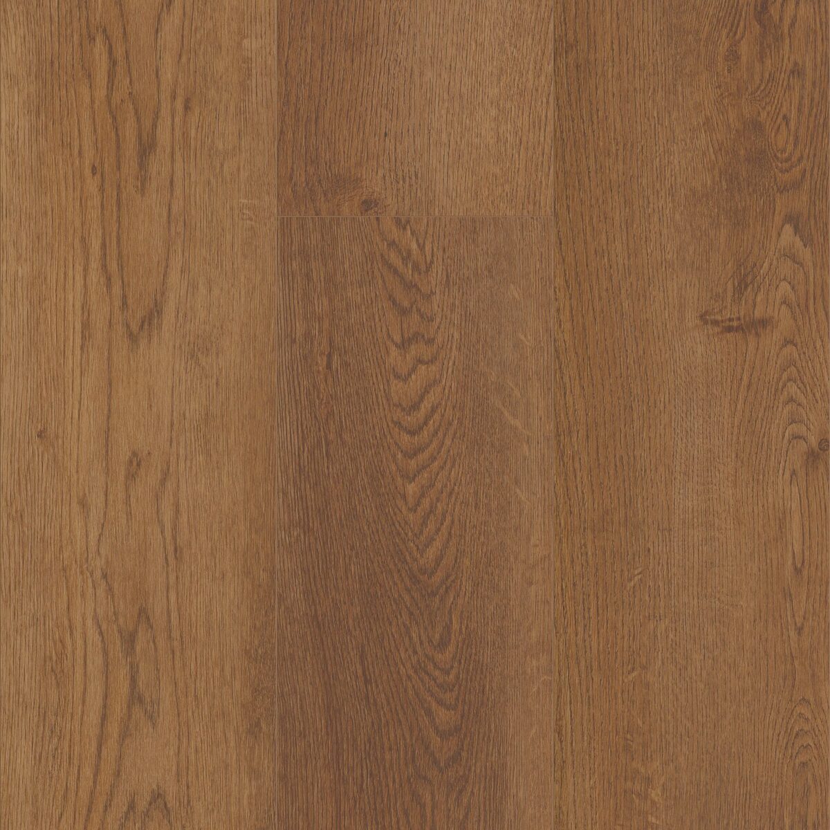 Venado Oak