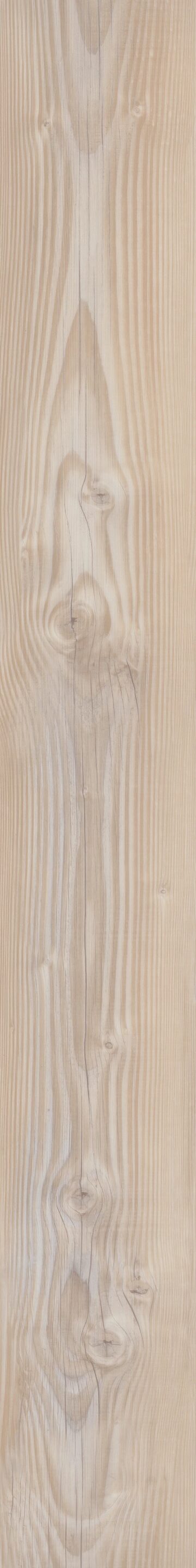 Tolima Pine