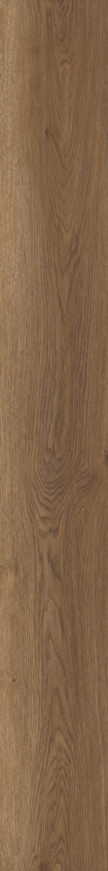 Arvon Oak