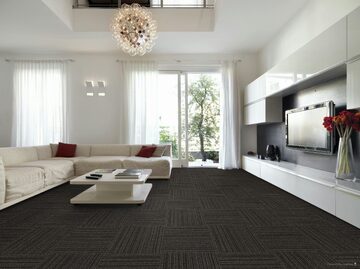 Fuzion Caledon (501) - Cranston