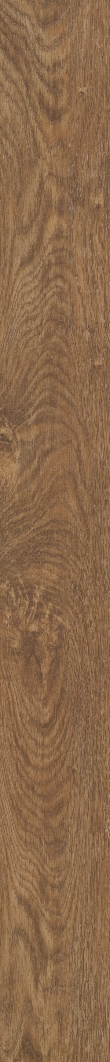 Northwoods Oak