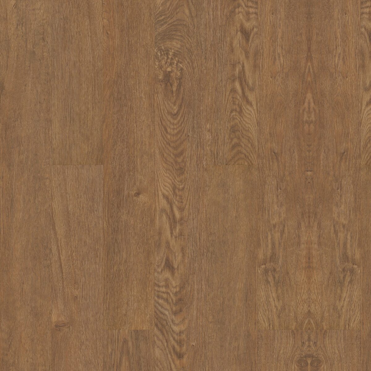 Northwoods Oak