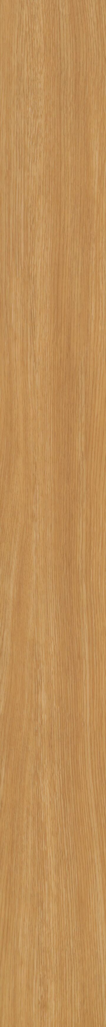 Rocky Mountain Oak