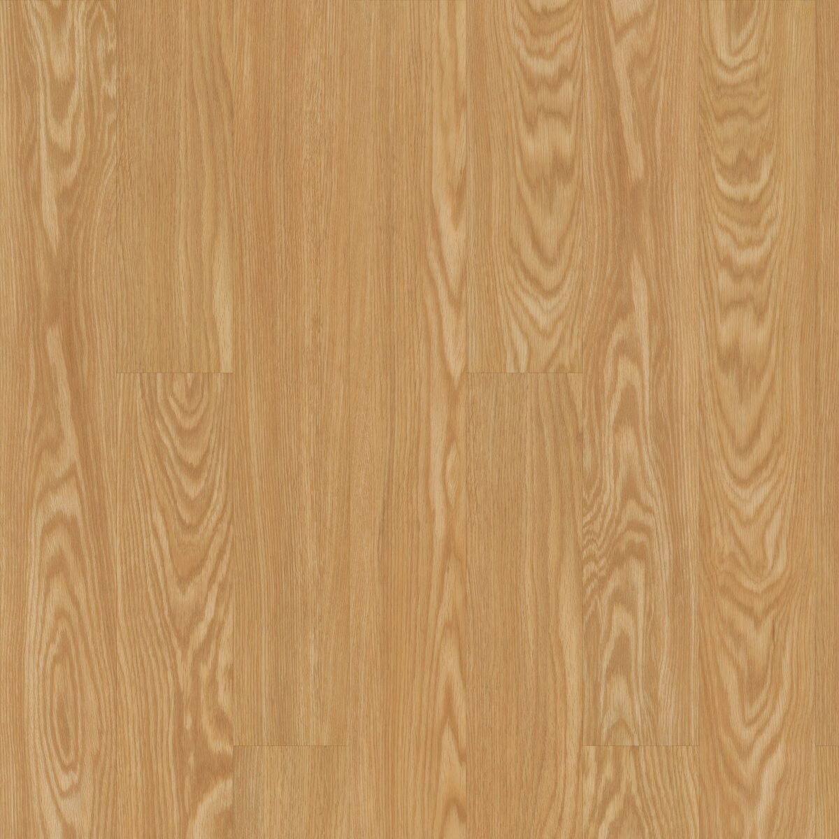 Rocky Mountain Oak