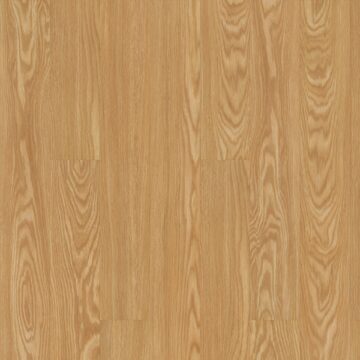 Rocky Mountain Oak