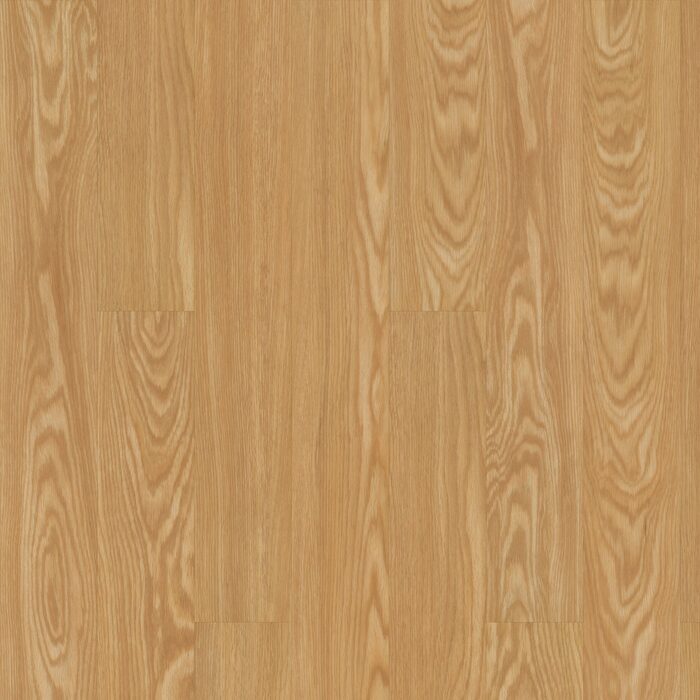 Rocky Mountain Oak