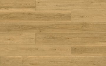 Fuzion FuzGuard - Glendale