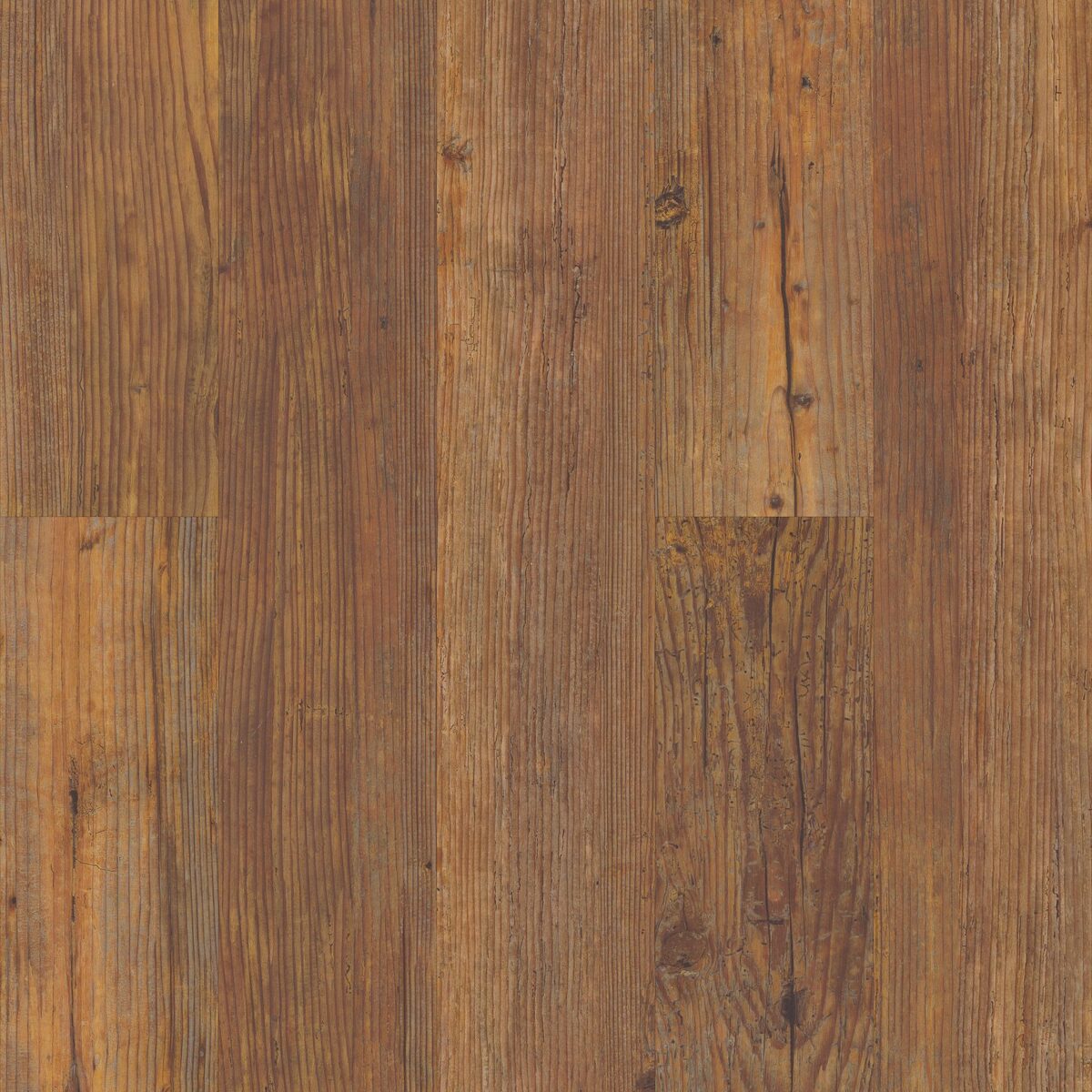 Carolina Pine