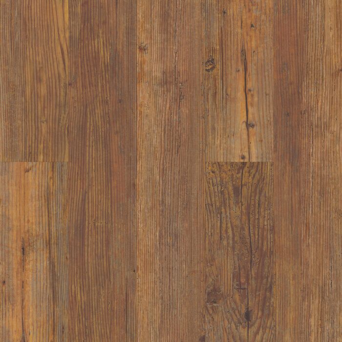 Carolina Pine