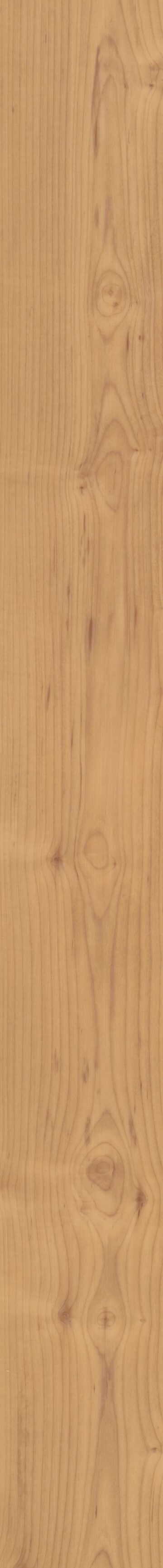 Norwegian Maple