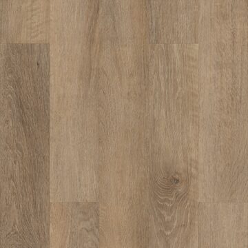 Brockport Oak