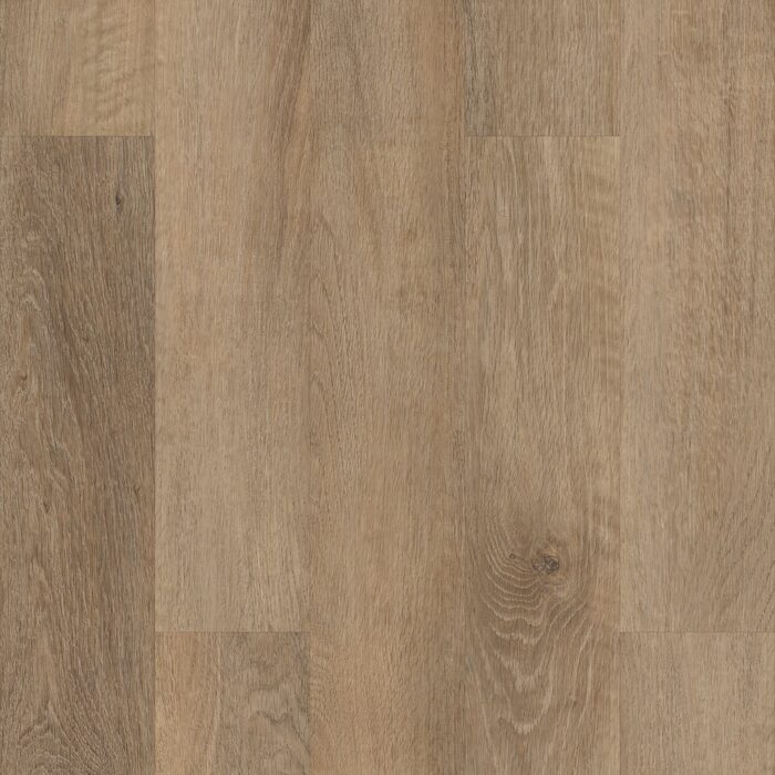 Brockport Oak