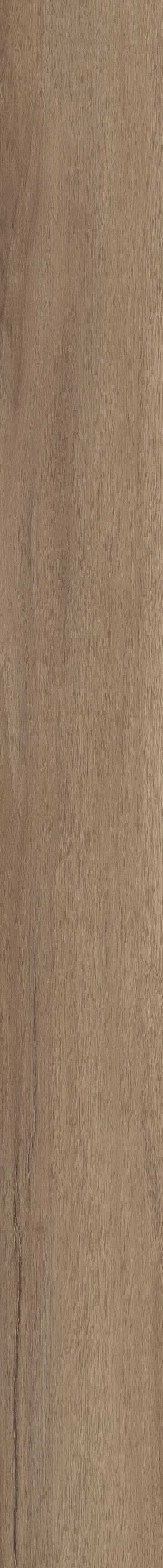 Baywood Oak