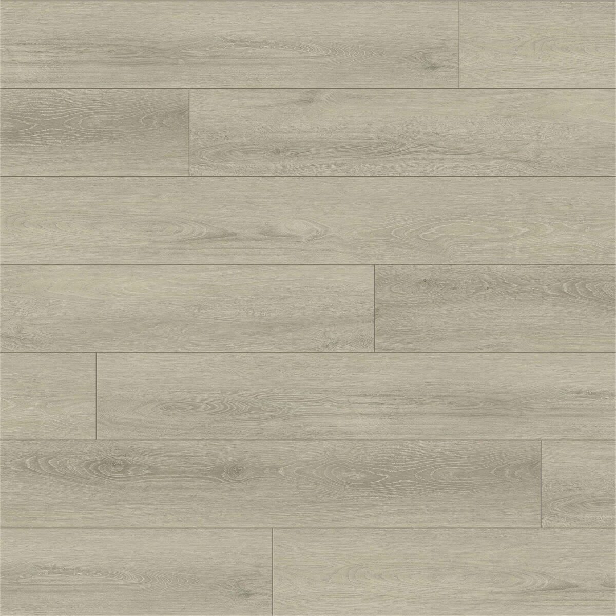 Fuzion Dynamix Grande - Olive