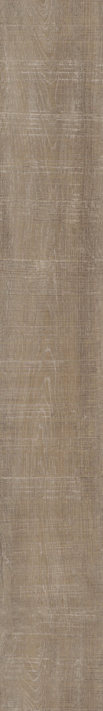 Nantucket Oak