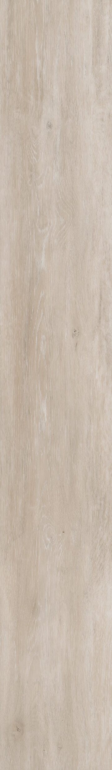 Ivory Coast Oak