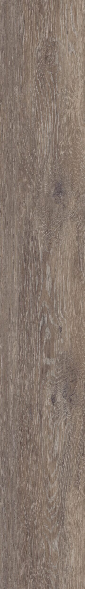 Alabaster Oak