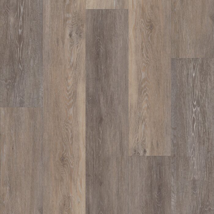 Blackstone Oak