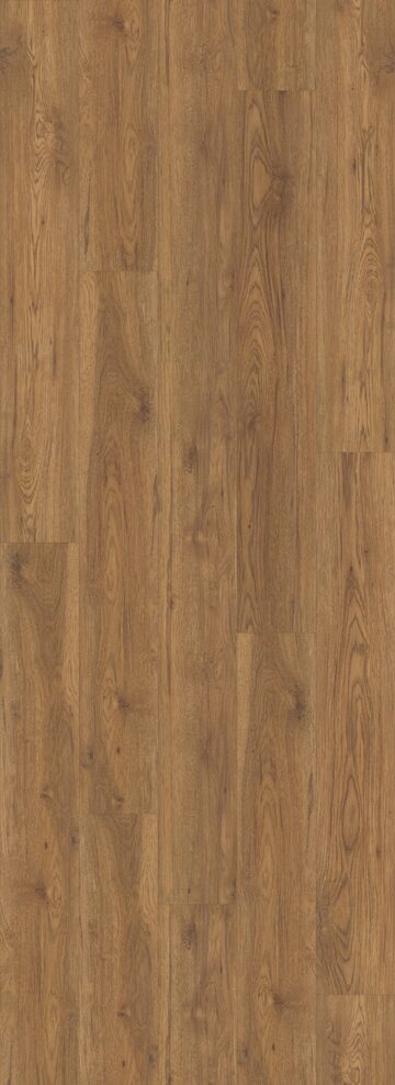 Marsh Oak