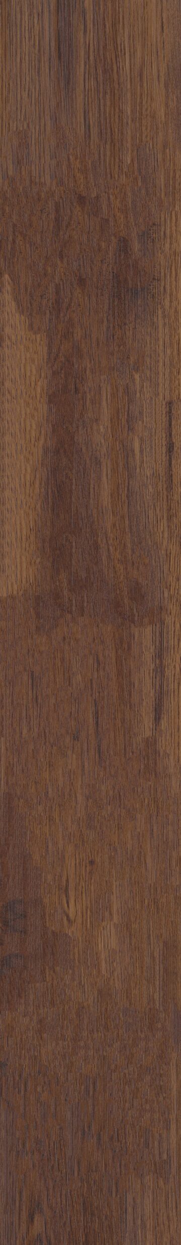 Fidalgo Oak