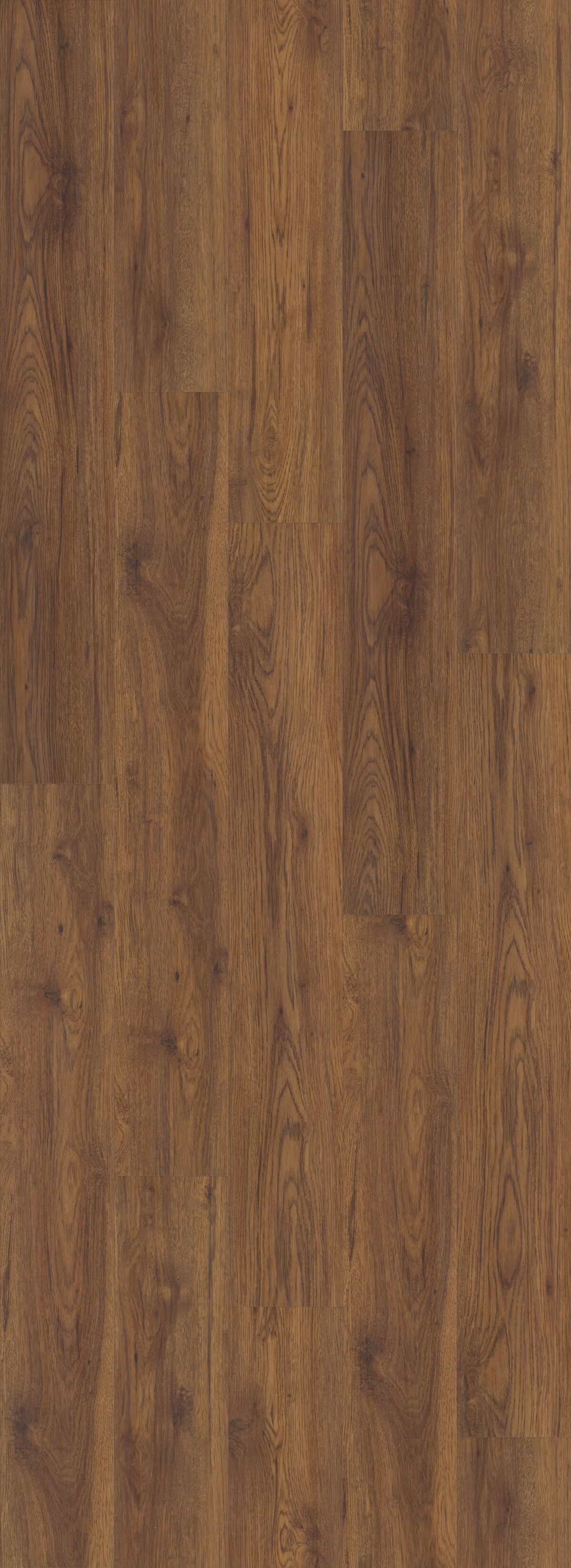Midway Oak